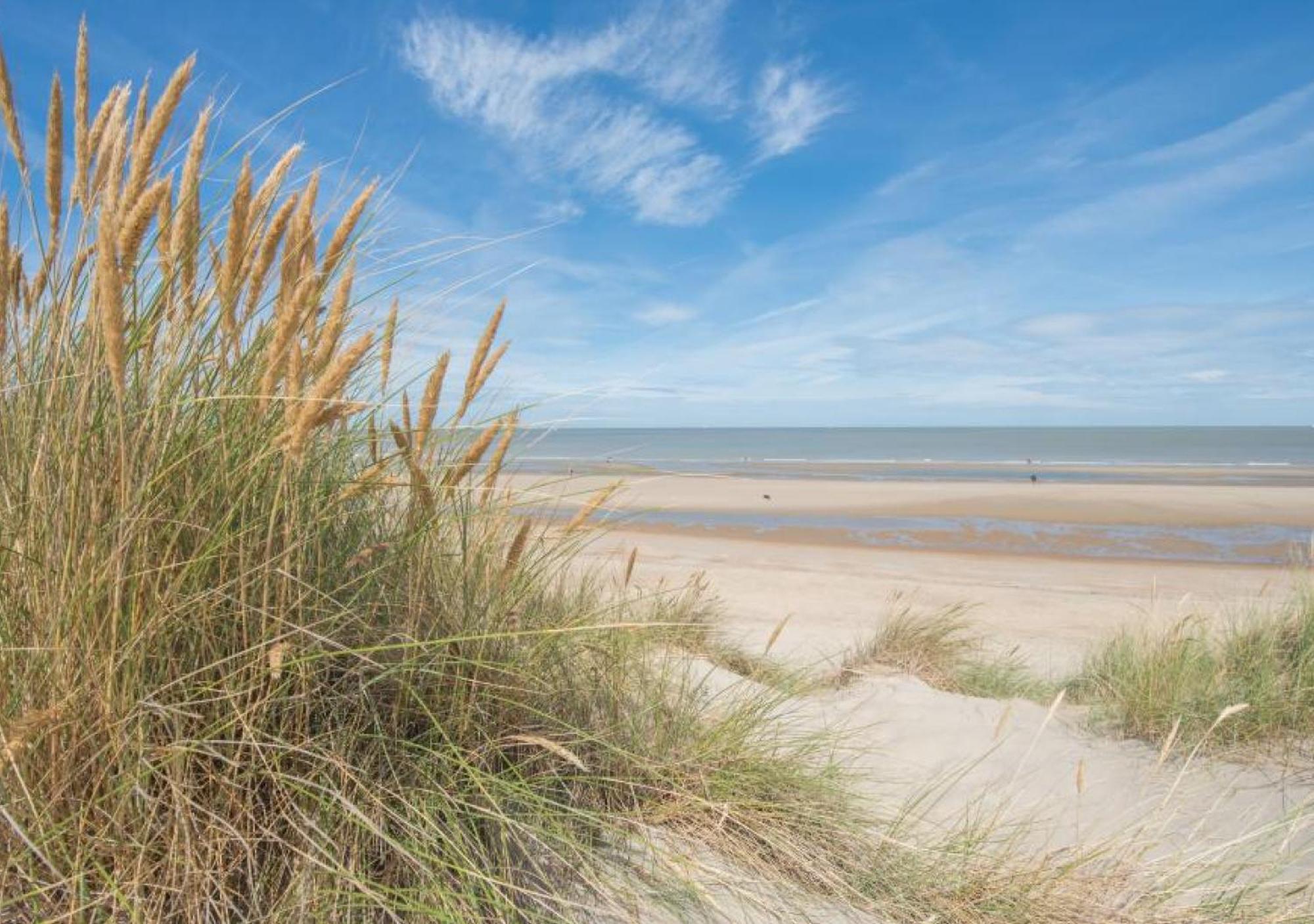 Salty - Vakantiehuisje Op De Grens Van Bredene-De Haan Buitenkant foto